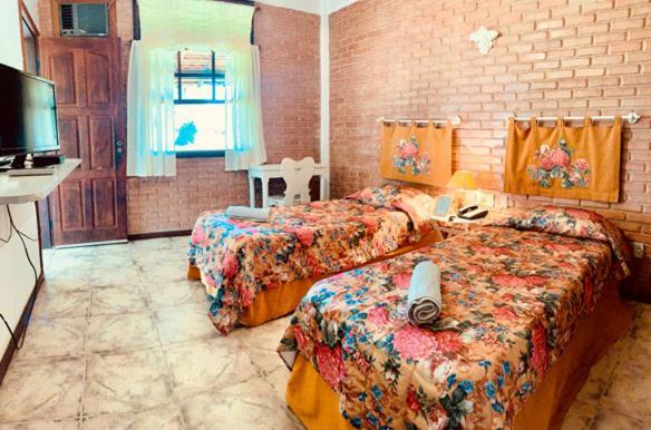 Hotel Fazenda Villa-Forte エンジェニェイロ・パッソス エクステリア 写真